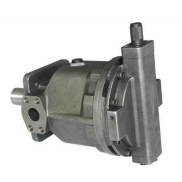 PVS-2A-35N3-12 Pompa idraulica