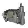 AR22-FR01C-20T Pompa idraulica
