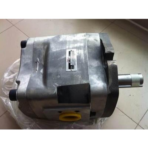 PV29-2R1D-J02 Pompa idraulica #2 image