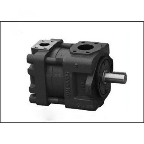 PV29-2R1D-J02 Pompa idraulica #3 image
